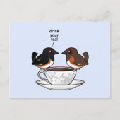 お茶を飲め ポストカード (正面)