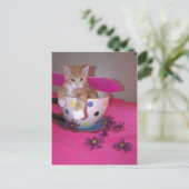 お茶カップの妖精 ポストカード (スタンド正面)