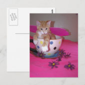 お茶カップの妖精 ポストカード (正面/裏面)