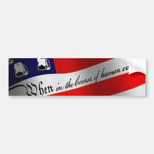 お茶会2009年4月15日 バンパーステッカー (正面)