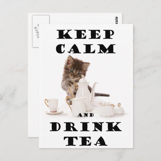 お茶保の子ネコ ポストカード (正面/裏面)