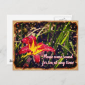 お茶来用のユリ ポストカード (正面/裏面)