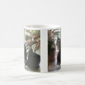 お菓子で猫を愛する コーヒーマグカップ (中央)