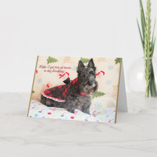 お菓子のストッキング カード (正面)