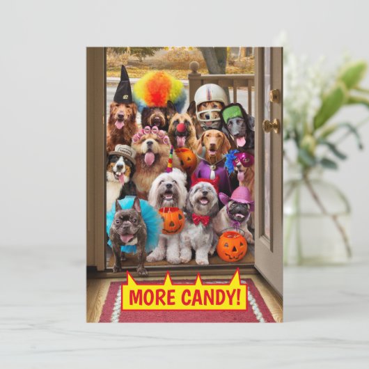 お菓子をくれなきゃイタズラしちゃうわんこ 招待状 (スタンド正面)