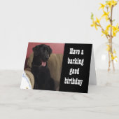 お菓子をたくさん手に入れたら**誕生日** カード (黄色い花)