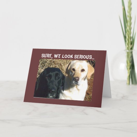 お菓子をねだる すぐに 良い願い カード (正面)