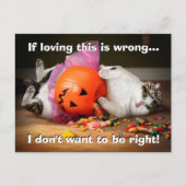 お菓子を抱えた猫のプリンセス インビテーションポストカード (正面)