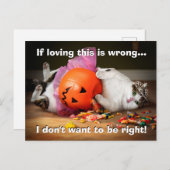 お菓子を詰めたネコのプリンセス インビテーションポストカード (正面/裏面)