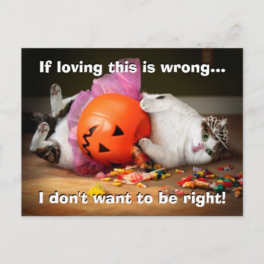 お菓子を詰めたネコのプリンセス インビテーションポストカード (正面)