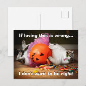 お菓子を詰めた猫のプリンセス インビテーションポストカード (正面/裏面)