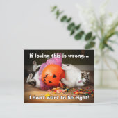 お菓子を詰めた猫のプリンセス インビテーションポストカード (スタンド正面)