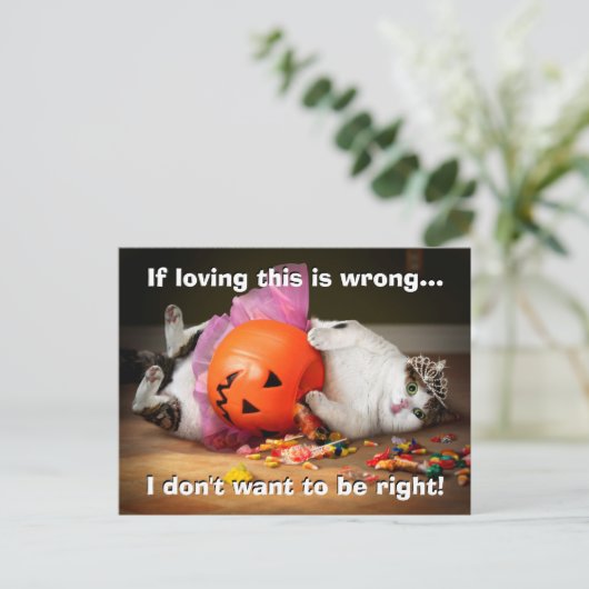 お菓子入れのねこ姫 インビテーションポストカード (スタンド正面)