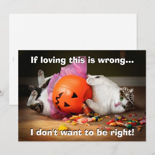 お菓子入れのねこ姫 招待状 (正面/裏面)