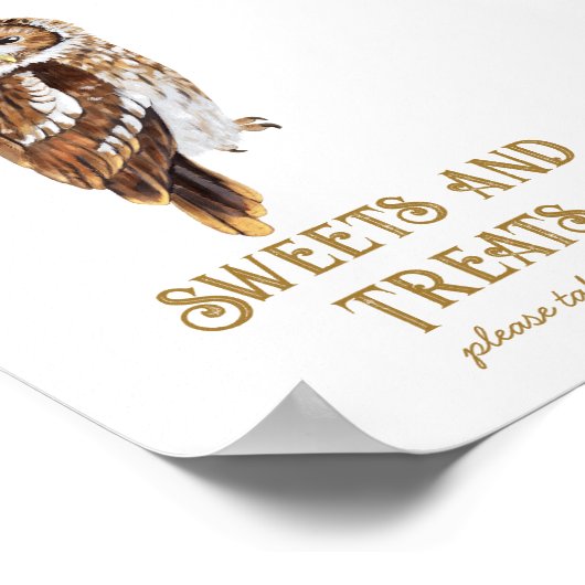 お菓子&おやつフクロウ赤ちゃんシャワー ポスター (角)