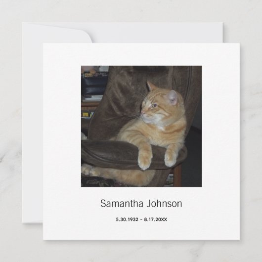 お葬式感謝のお店と蝶の写真1枚 サンキューカード (裏面)