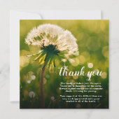 お葬式 | Dandelionの忌引き サンキューカード (正面)