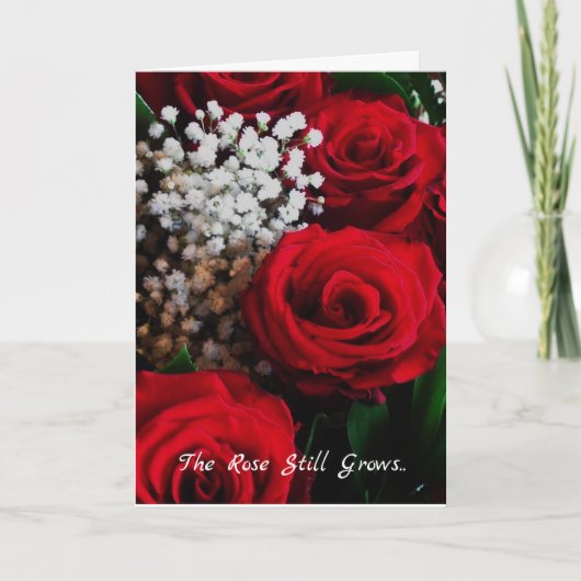 お見舞いカードバラはまだ壁を越えて成長 カード (正面)