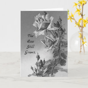 お見舞いカードバラはまだ壁を越えて成長 カード