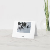 お見舞いカード付き – カラスは全てを知っている カード (裏面)