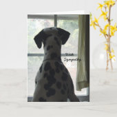 お見舞いカード – 犬を失う カード (黄色い花)