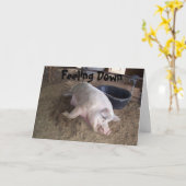 お見舞い カード (黄色い花)