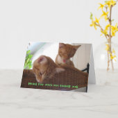 お見舞い カード (黄色い花)