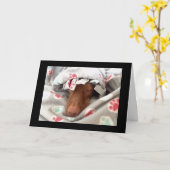 お見舞い カード (黄色い花)