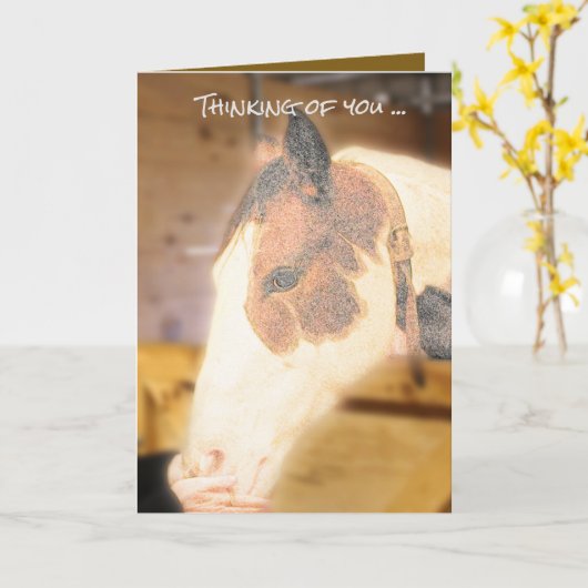 お見舞い カード (黄色い花)