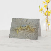 お見舞い カード (黄色い花)