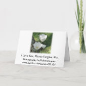 お許し下さい:白いチューリップの花 カード (裏面)