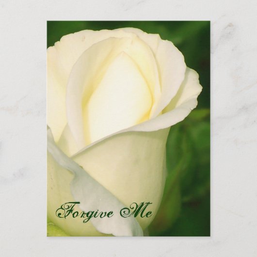 お許し/任意の大事な行事_ポストカード ポストカード (正面)