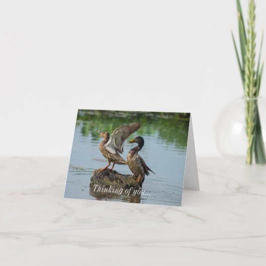 お許考えるし カード (正面)