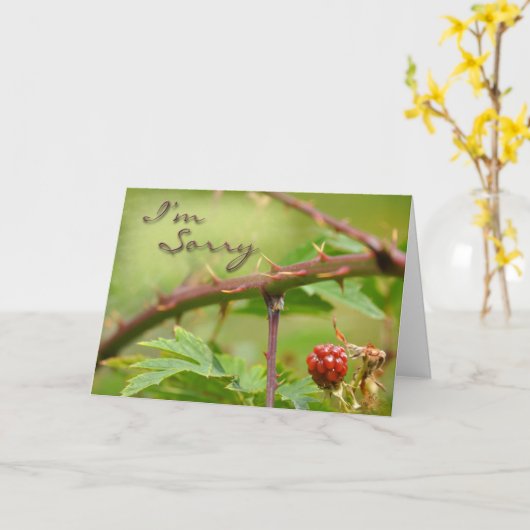 お詫びカード カード (黄色い花)