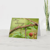 お詫びカード カード (正面)