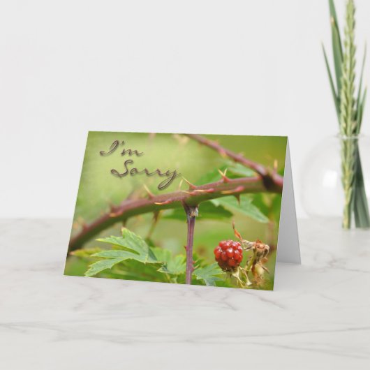 お詫びカード カード (正面)