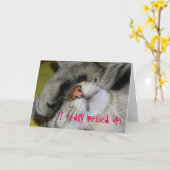 お詫びカード – 私は本当に混乱した、恥ずかしい猫 カード (黄色い花)