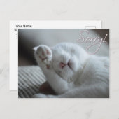 お詫び用の猫おもしろいの足、かわいい動物 ポストカード (正面/裏面)