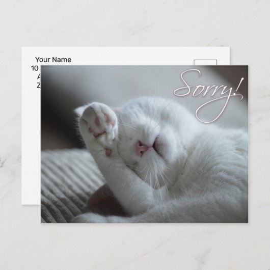 お詫び用の猫おもしろいの足、かわいい動物 ポストカード (正面/裏面)