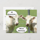 お話し牛の住所はがきの変更 案内ポストカード (正面/裏面)