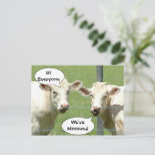 お話し牛の住所はがきの変更 案内ポストカード (スタンド正面)