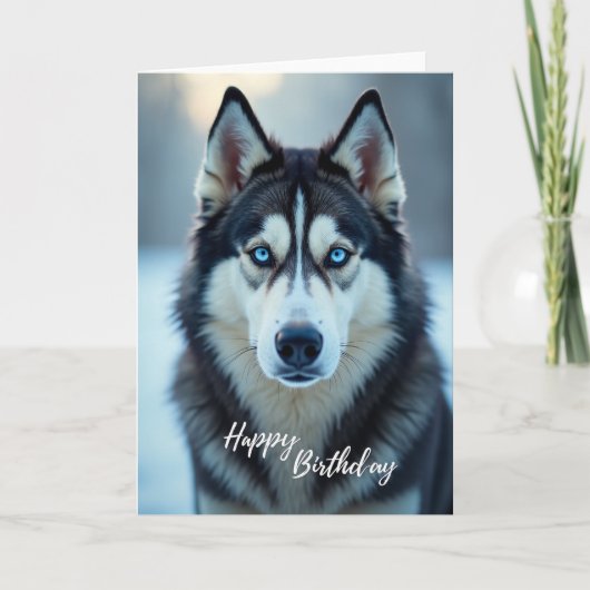 お誕生日おめでとうオオカミ動物カード カード (正面)