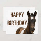 お誕生日おめでとうコルトホース ポストカード (正面/裏面)