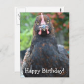 お誕生日おめでとうチキン... パーティッジコチン ポストカード (正面/裏面)
