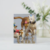お誕生日おめでとう犬 ポストカード (スタンド正面)