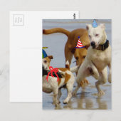 お誕生日おめでとう犬 ポストカード (正面/裏面)