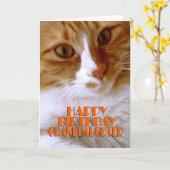 お誕生日おめでとう　お孫さん　かわいい猫 カード (黄色い花)