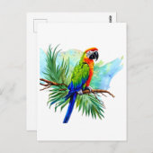 お誕生日おめでとう | かわいいAI生成のマカオインコ ポストカード (正面/裏面)