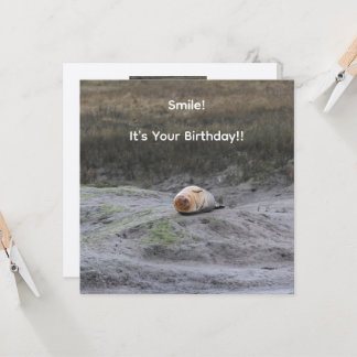 お誕生日おめでとう!アザラシのグリーティングカード カード