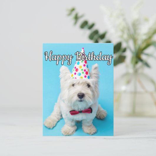 お誕生日おめでとう ポストカード (スタンド正面)